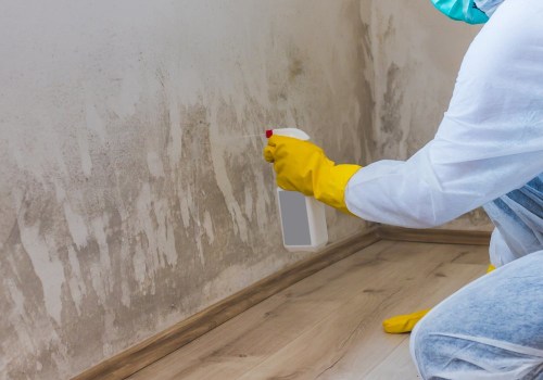 The Role Of Mold Removal Companies In Successful Fix And Flip Projects In Dallas, TX