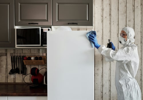 Avoiding Costly Mistakes: How Mold Mitigation Can Improve Your Denver Fix And Flip